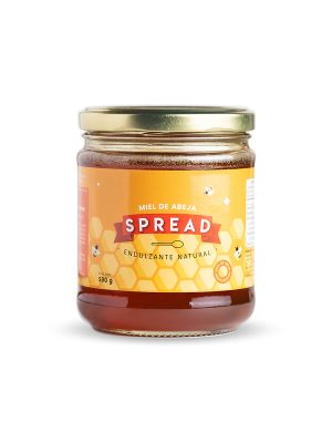 MIEL DE ABEJA X530GR